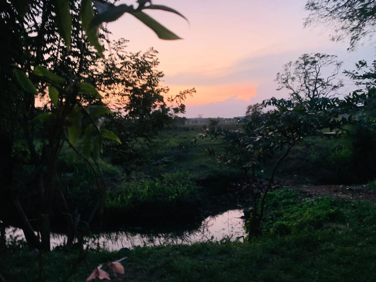 Lodge Thanamal-villa Tanamalwila