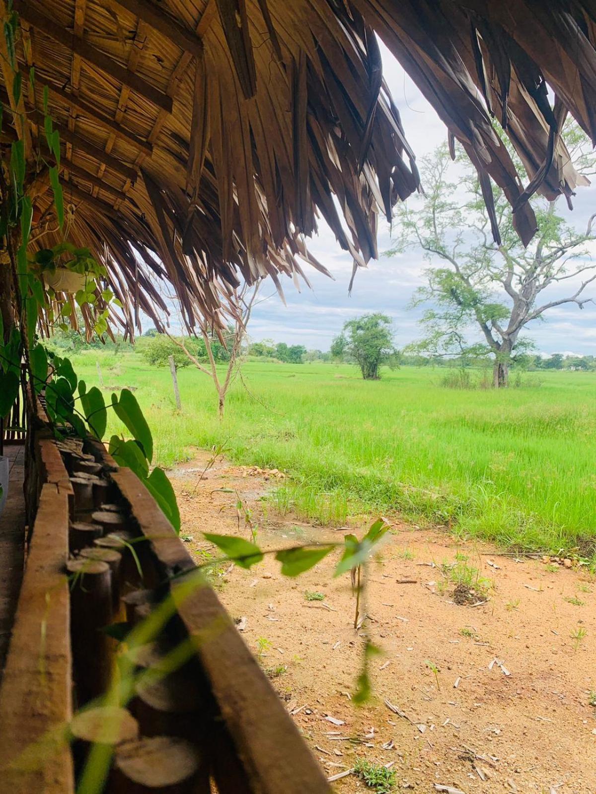 Thanamal-villa Lodge Tanamalwila
